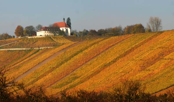 Mainschleife, Volkach, Vogelsburg, Escherndorf